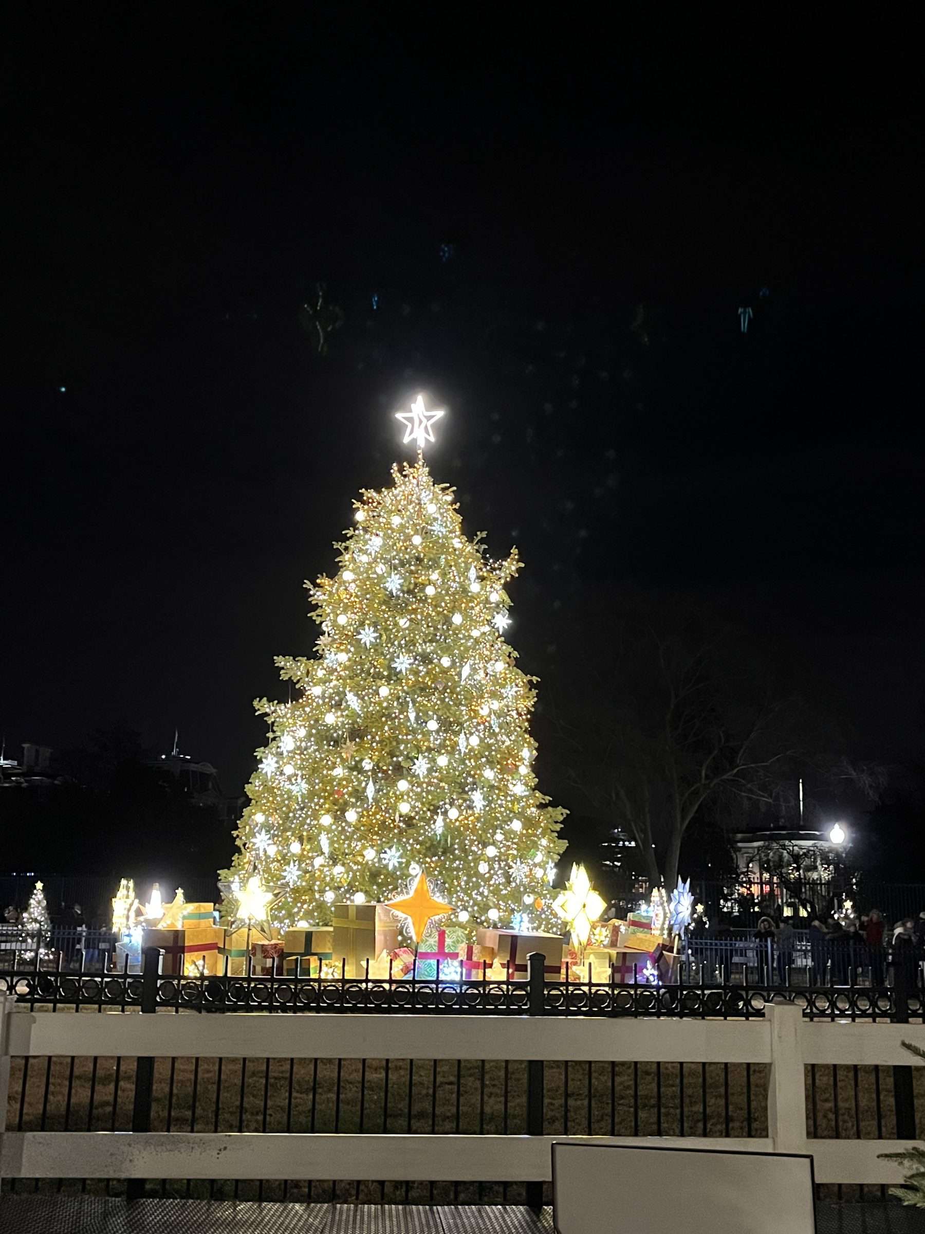 The National Christmas Tree next to the White House