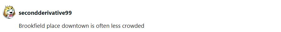 A Reddit user saying that the rink at Brookfield Place is less crowded than other rinks.