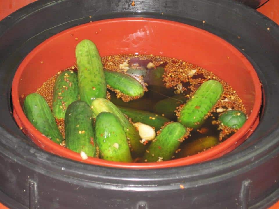 a barrel of pickles from The Pickle Guys shop on the Lower East Side of Manhattan