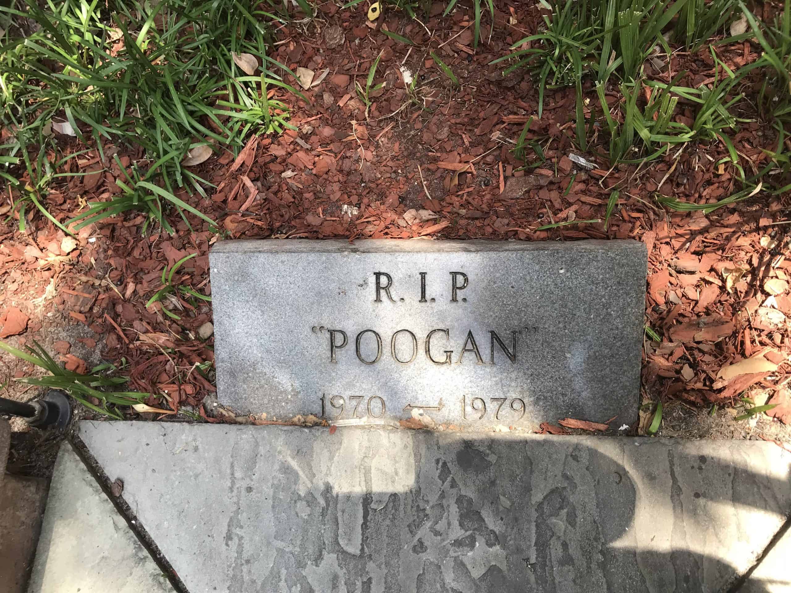 Poogan's headstone